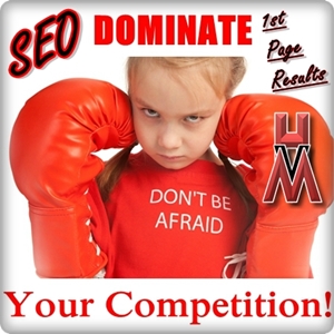 SEO Dominate Your Competition300x300